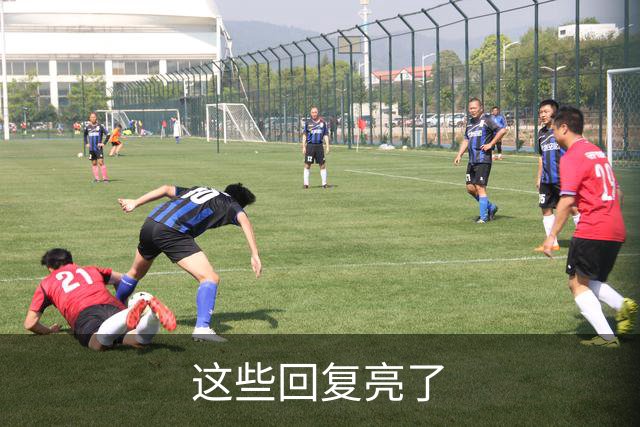 这些回复亮了